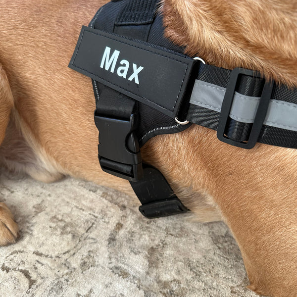 Personalised No Pull Dog Harness