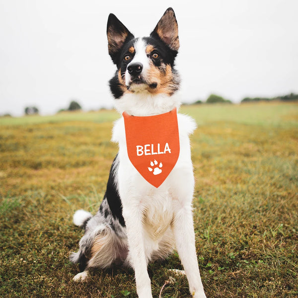 Personalised Pet Name Bandana