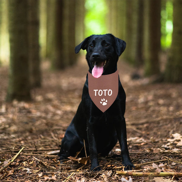 Personalised Pet Name Bandana