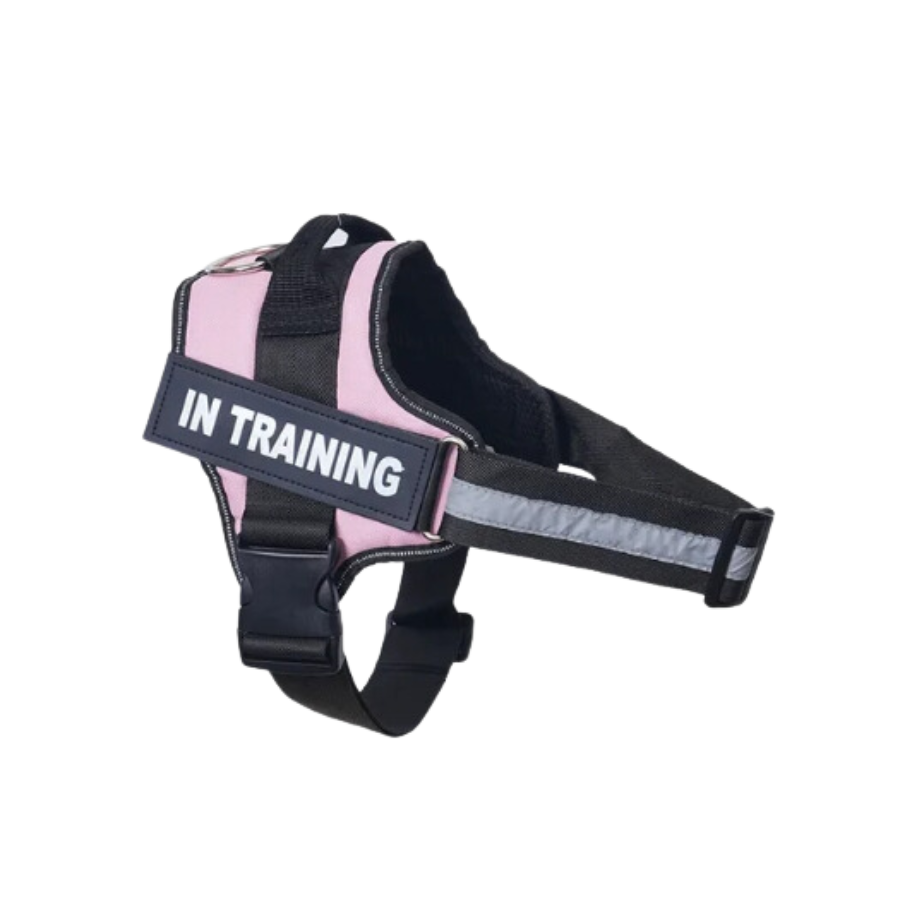 Personalised No Pull Dog Harness