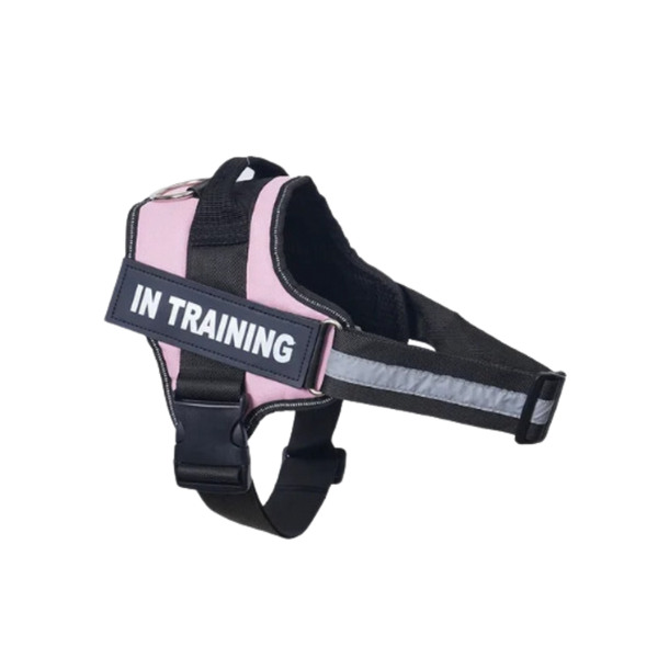 Personalised No Pull Dog Harness